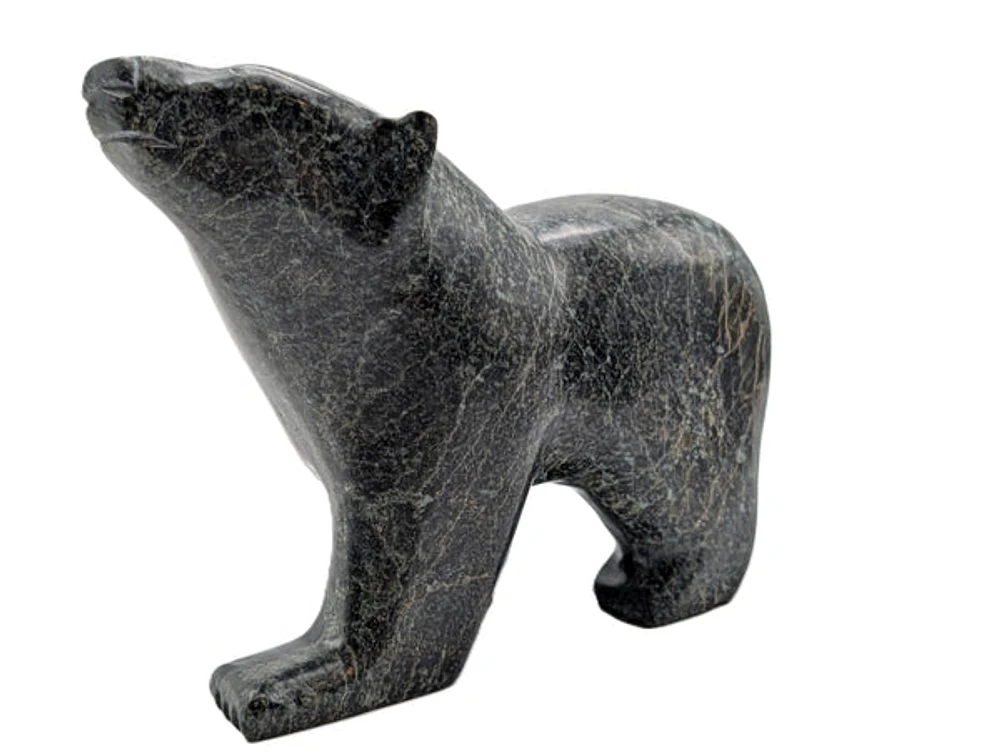 Walking Bear