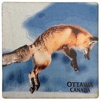 Canadian Fox Coaster