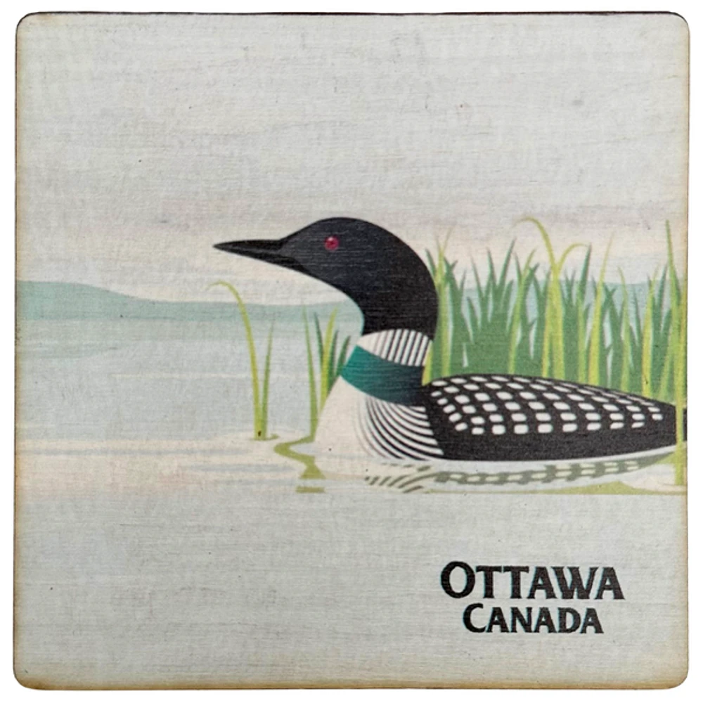 Ottawa Canada Loon Coaster