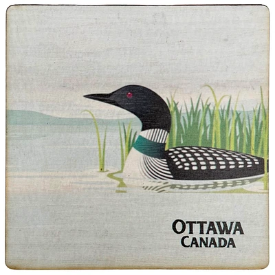 Ottawa Canada Loon Coaster