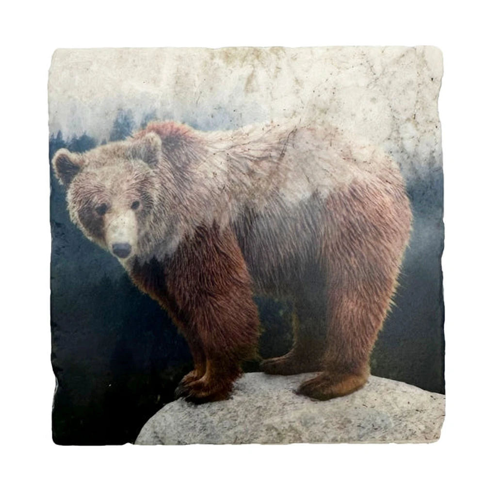 Grizzly Bear Coaster