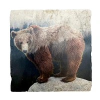 Grizzly Bear Coaster