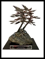 Engraved Plate for Windswept Pine Sculpture