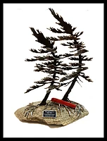 Engraved Plate for Windswept Pine Sculpture