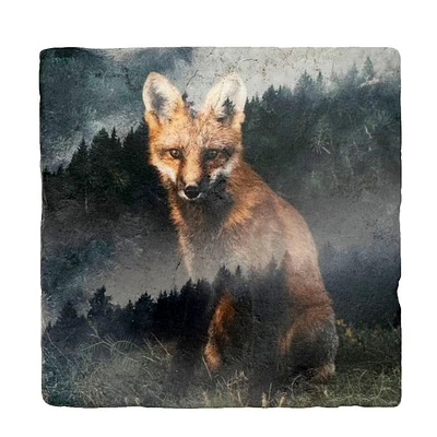 Red Fox Coaster