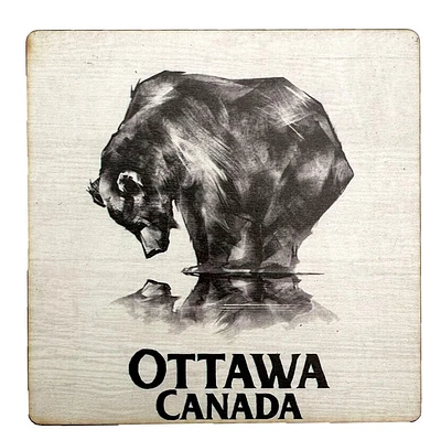 Ottawa Reflecting Bear Coaster