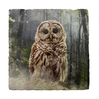 Barred Owl Coaster