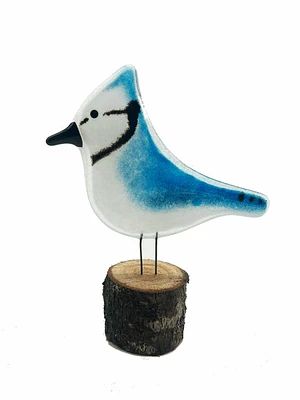 Large Canadian Blue Jay