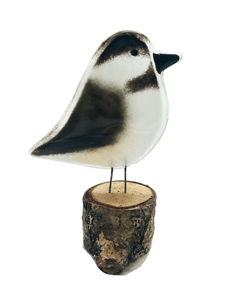 Large Chickadee