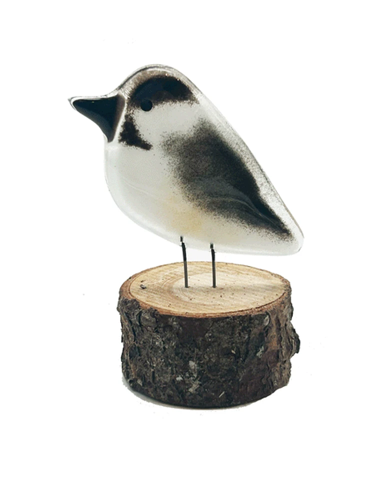 Chickadee