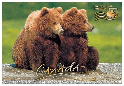 2 Bears - Postage Paid Postcard