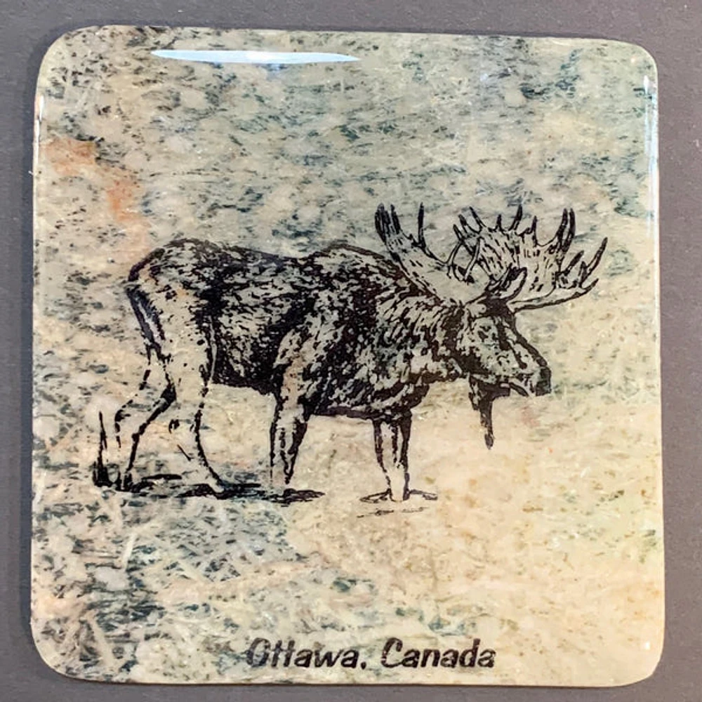 Ottawa Canada Moose