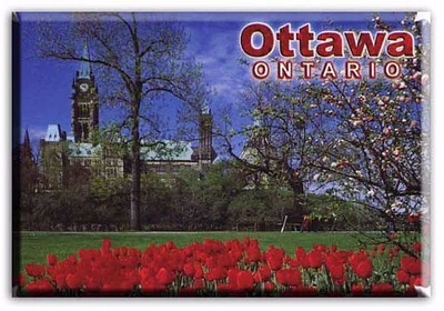 Canadian Parliament & Tulips - Photo Magnet