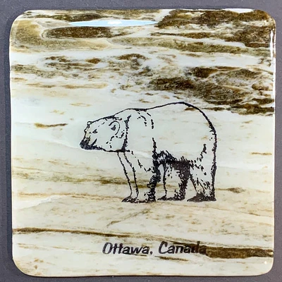 Ottawa Canada Polar Bear Coaster