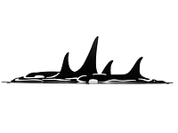 Orca Pod