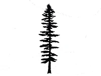 Anvil Island Sitka Trees - Wall Hanging