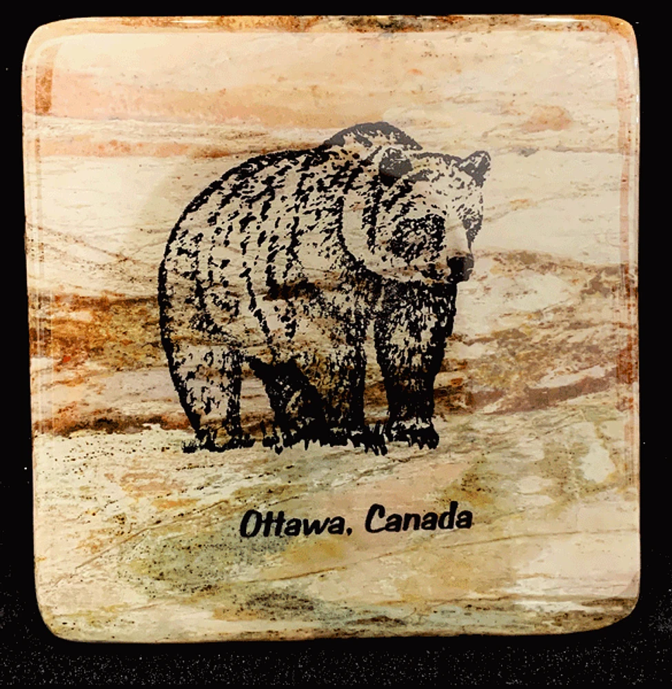 Ottawa Canada Grizzly Bear Coaster