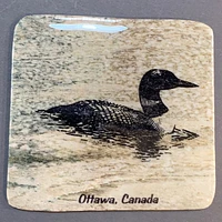 Ottawa Canada Loon