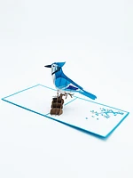 Blue Jay 3D Pop-Up Art Card