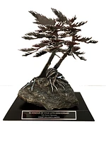 Engraved Plate for Windswept Pine Sculpture