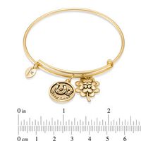 Chrysalis Cubic Zirconia "Good Luck" Charms Adjustable Bangle in Yellow-Tone Brass|Peoples Jewellers