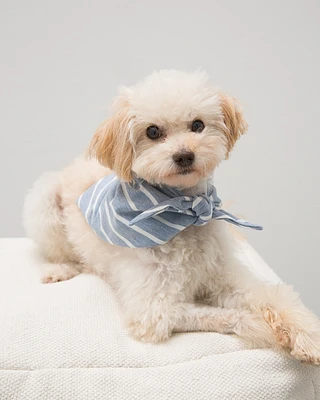 Family Pajamas Pet Bandana