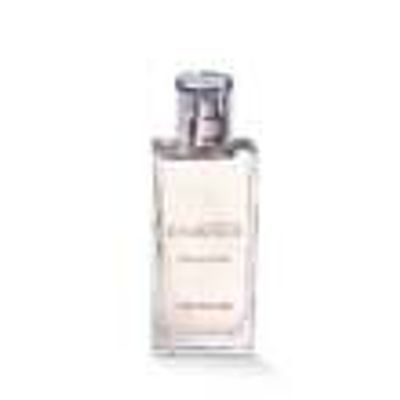 Comme une Evidence - L'Eau de Parfum 50ml