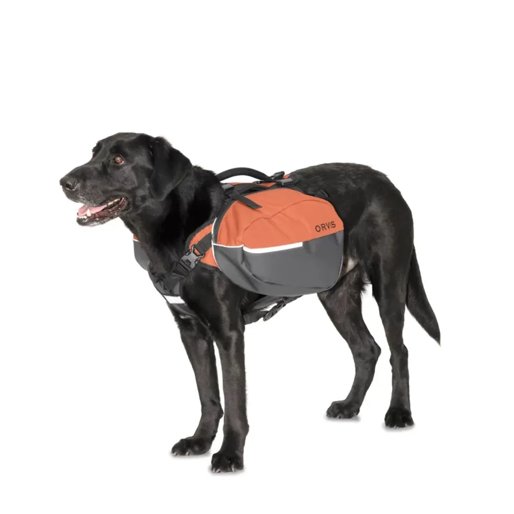 do-dogs-know-their-own-size