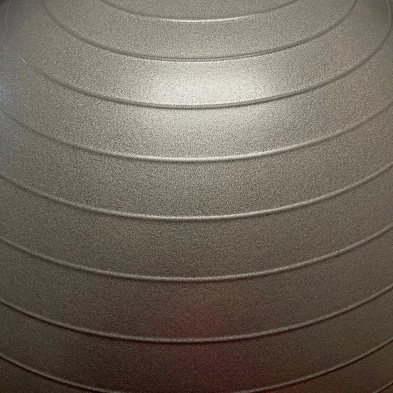 Lifeline 65 cm Exercise Ball