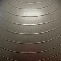 Lifeline 65 cm Exercise Ball