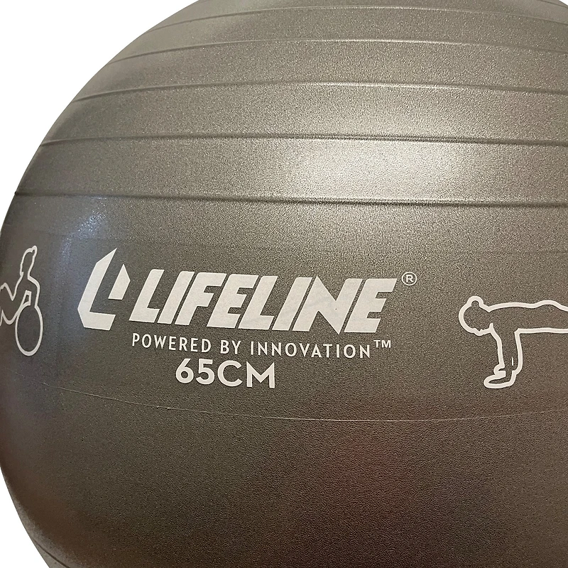 Lifeline 65 cm Exercise Ball