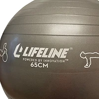 Lifeline 65 cm Exercise Ball