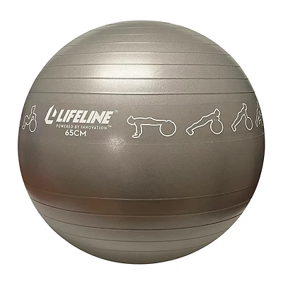 Lifeline 65 cm Exercise Ball