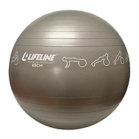 Lifeline 65 cm Exercise Ball