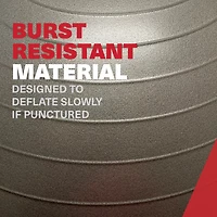 Lifeline 65 cm Exercise Ball