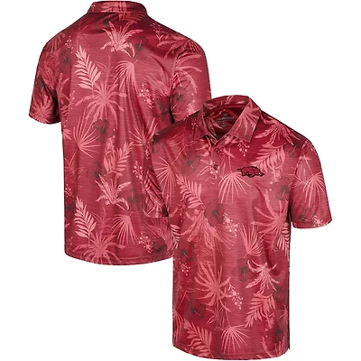 Colosseum Arkansas Razorbacks Big Tall Palms Polo