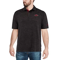Colosseum Arkansas Razorbacks Down Swing Polo