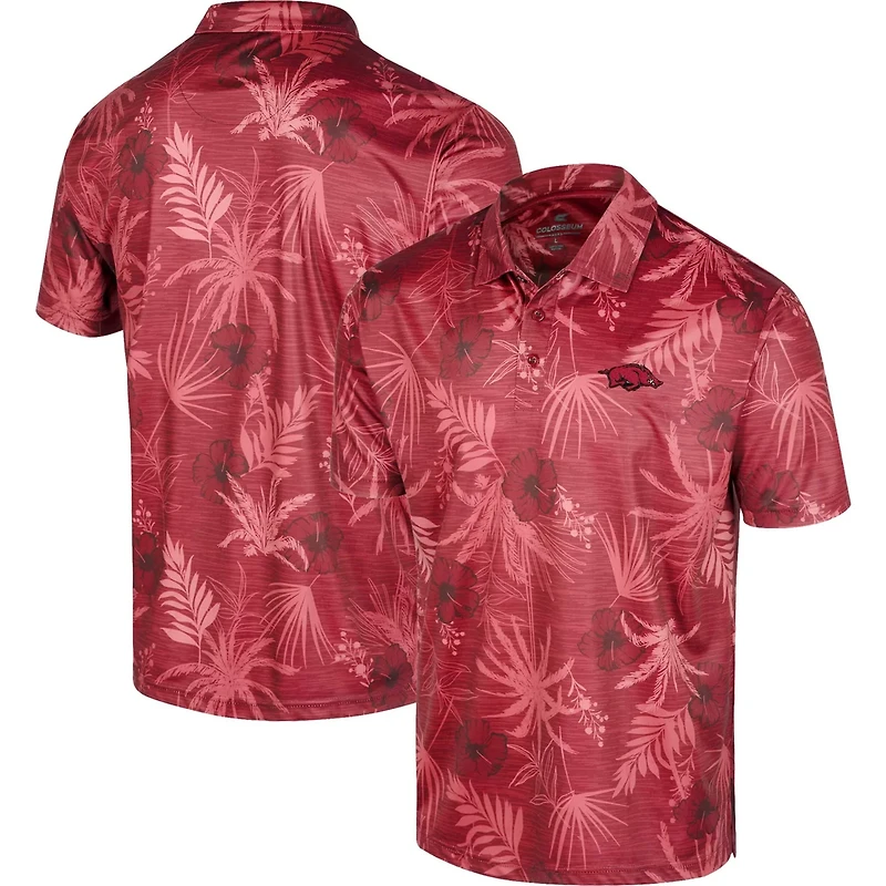 Colosseum Arkansas Razorbacks Palms Team Polo