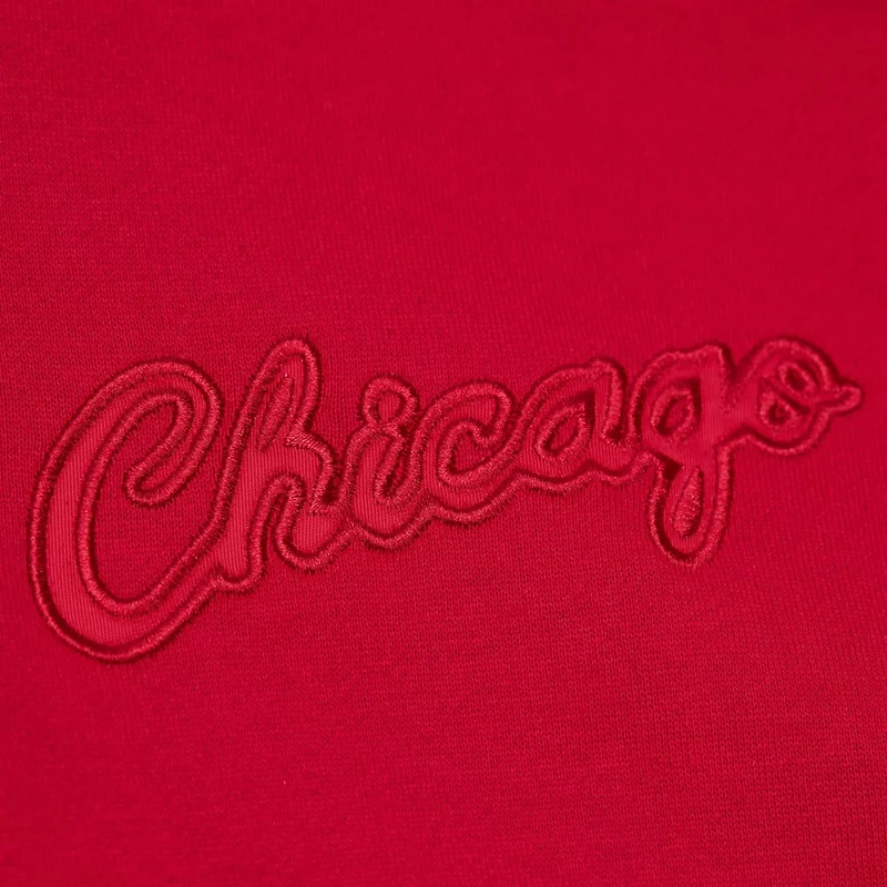 Mitchell  Ness Chicago Bulls Hardwood Classics Tonal Pullover Hoodie