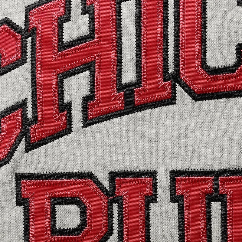 Mitchell  Ness Dennis Rodman Heathered Gray Chicago Bulls Big Tall Name Number Pullover Hoodie