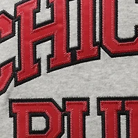 Mitchell  Ness Dennis Rodman Heathered Gray Chicago Bulls Big Tall Name Number Pullover Hoodie