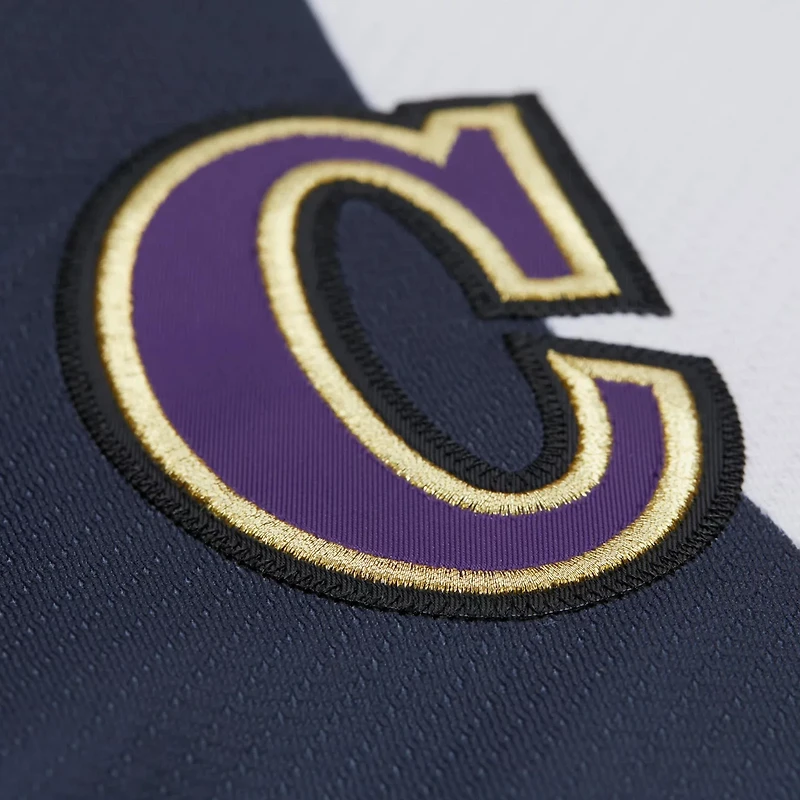 Mitchell Ness Wayne Gretzky Los Angeles Kings Big Tall 1995-96 Blue Line 20 Jersey