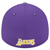 New Era Los Angeles Lakers Active Trim 39THIRTY Flex Hat