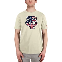 New Era Minnesota Twins Americana Flag Fill T-Shirt