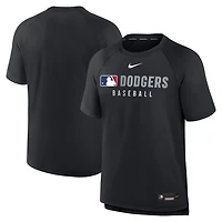Nike Los Angeles Dodgers Authentic Collection Pregame Raglan Performance T-Shirt