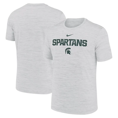 Nike Michigan State Spartans 2025 Sideline Velocity Performance T-Shirt