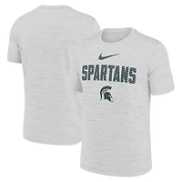 Nike Michigan State Spartans Campus Slant Velocity Performance T-Shirt