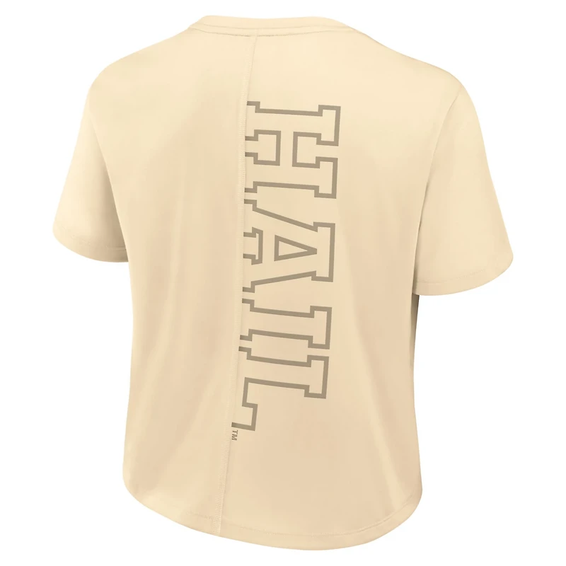 Nike Michigan Wolverines Performance Cropped T-Shirt