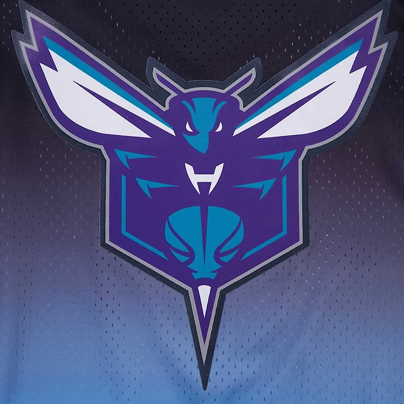 Post LaMelo Ball /Blue Charlotte Hornets Ombre Name  Number T-Shirt