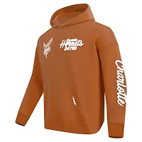 Pro Standard Charlotte Hornets Paint the City Drop Shoulder Pullover Hoodie